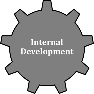 Internal Development Gear